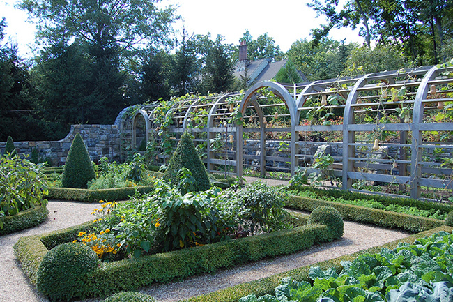 Digging Deeper: The Spring Vegetable Garden To Do List